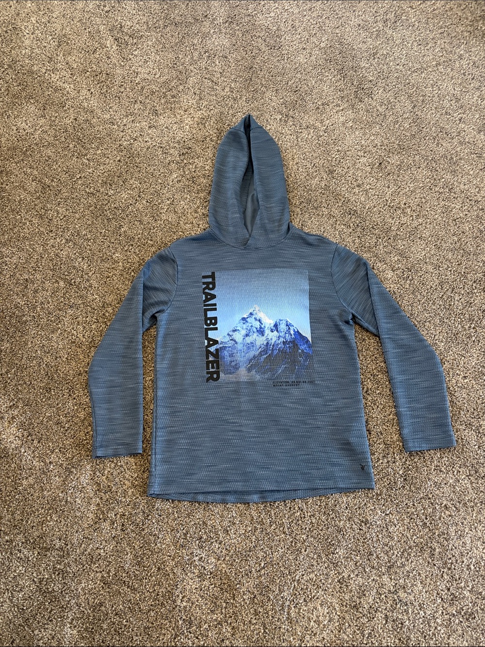 Boys Old Navy Blue Long Sleeve Hooded Tee with Mountain Graphic Size Large 10